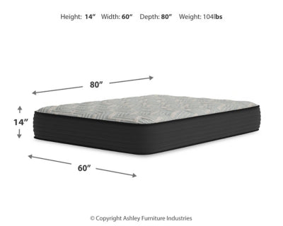 Palisades Firm Queen Mattress