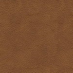 Carianna Loveseat