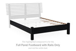 Estribo de panel completo con rieles Danziar
