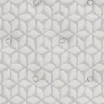 Limited Edition PT Queen Mattress