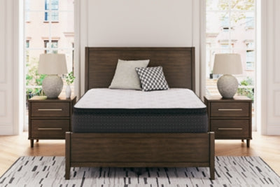Limited Edition PT Queen Mattress