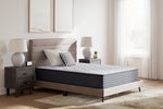 Anniversary Edition Plush Queen Mattress