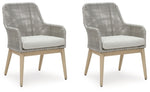 Sillas de comedor para exteriores Seton Creek (juego de 2)